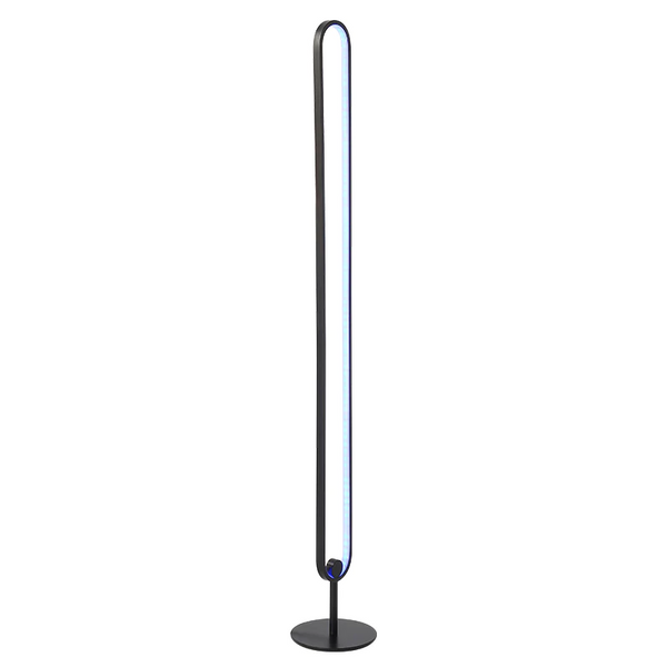 Nordic Modern RGB LED Floor Lamp